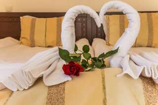 Отель Family Hotel Teteven Тетевен Двухместный номер с 1 кроватью или 2 отдельными кроватями-5